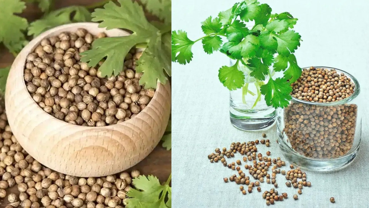 Coriander Water