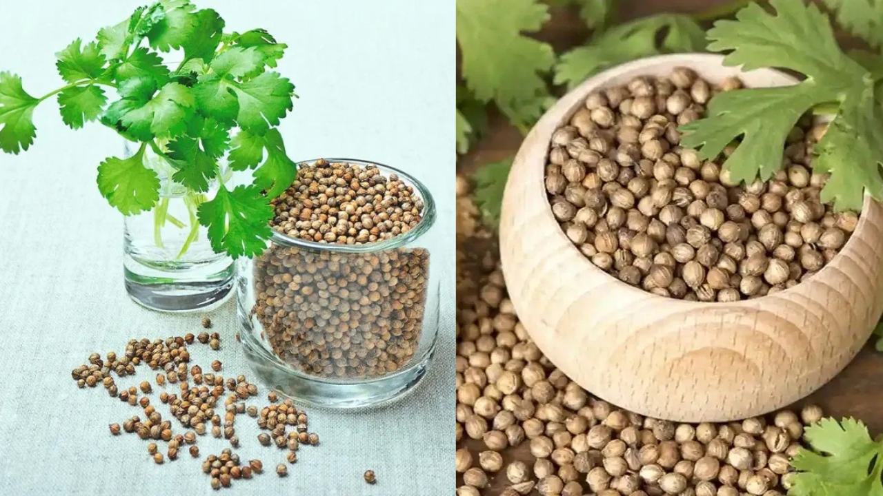 Coriander Water
