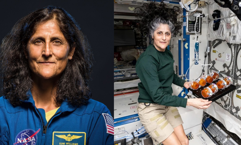 Sunita Williams