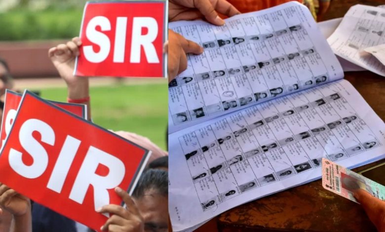 SIR Survey
