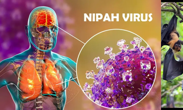 Nipah Virus