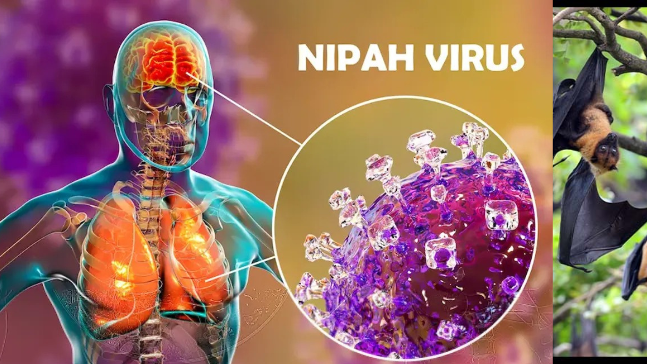 Nipah Virus