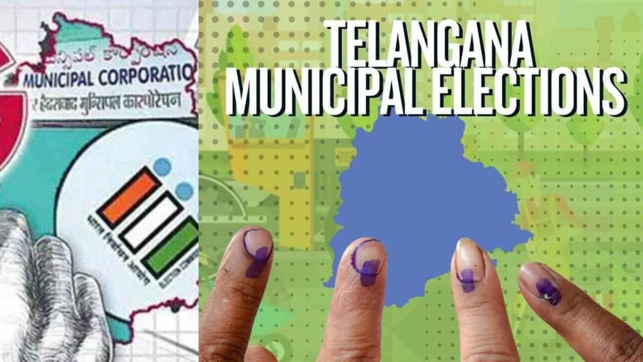 Municipal Elections