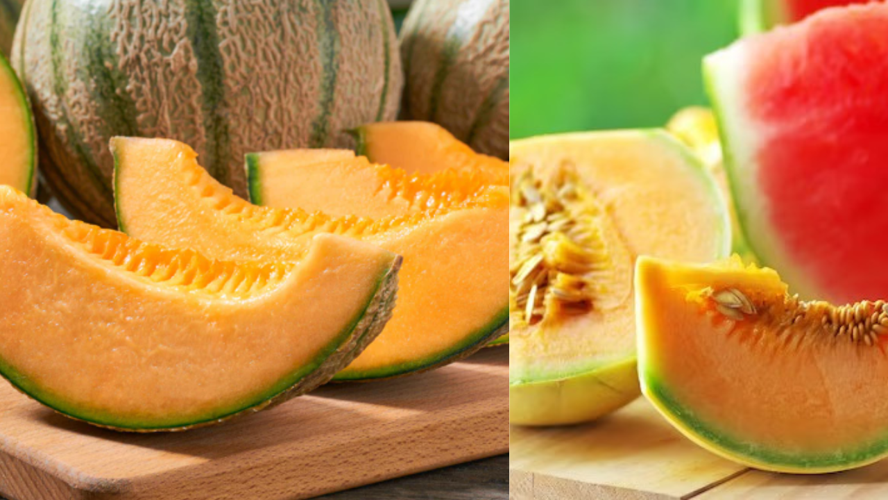 Muskmelon