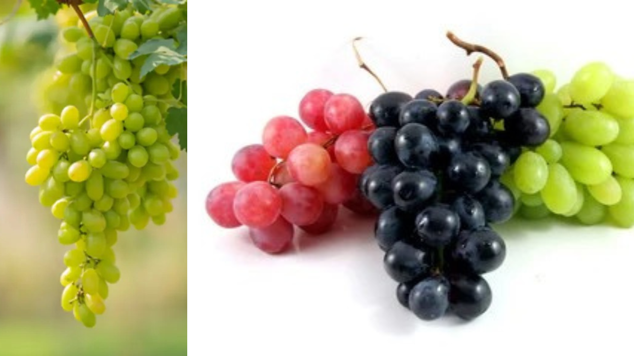 Grapes