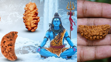 Ekamukhi Rudraksha