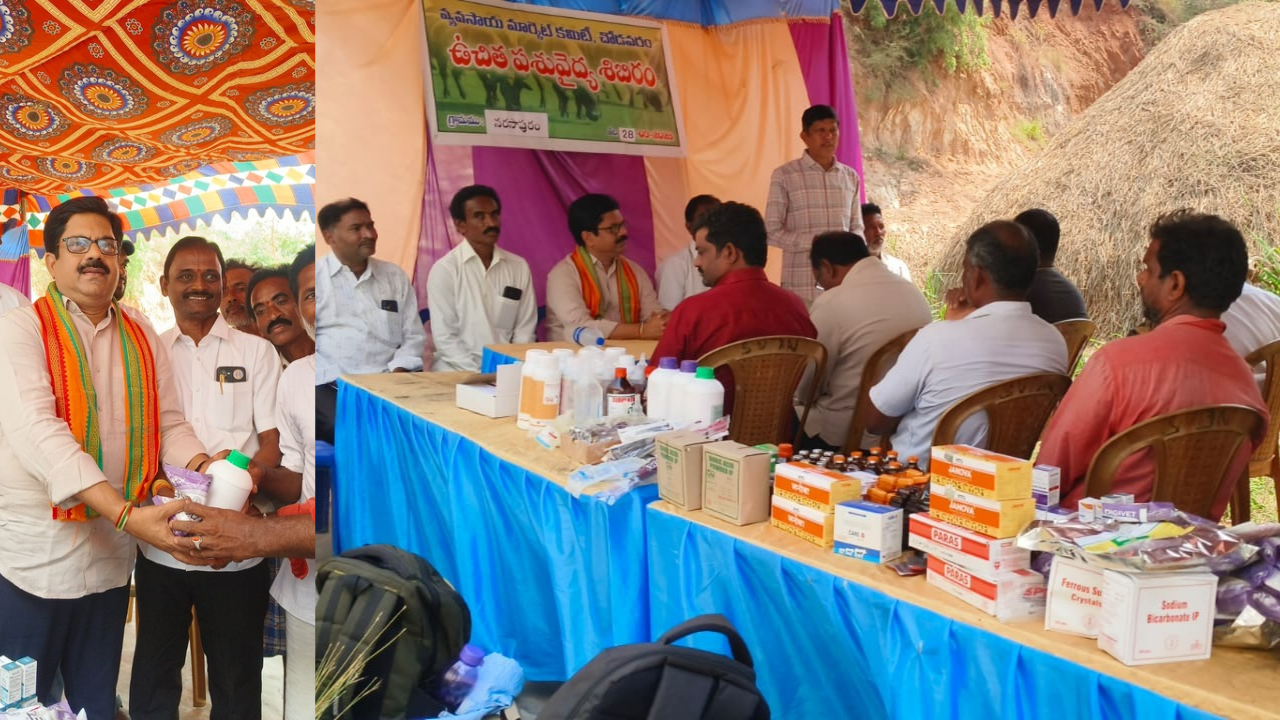 Animal Health Camp
