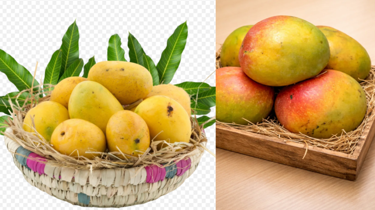 Mangoes