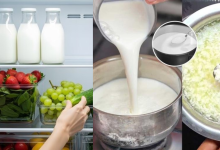Milk