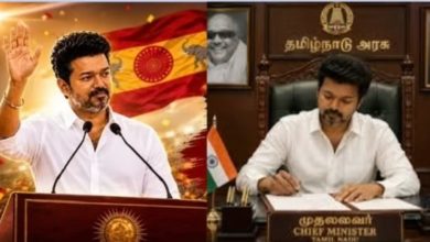 Tamil Nadu CM Vijay