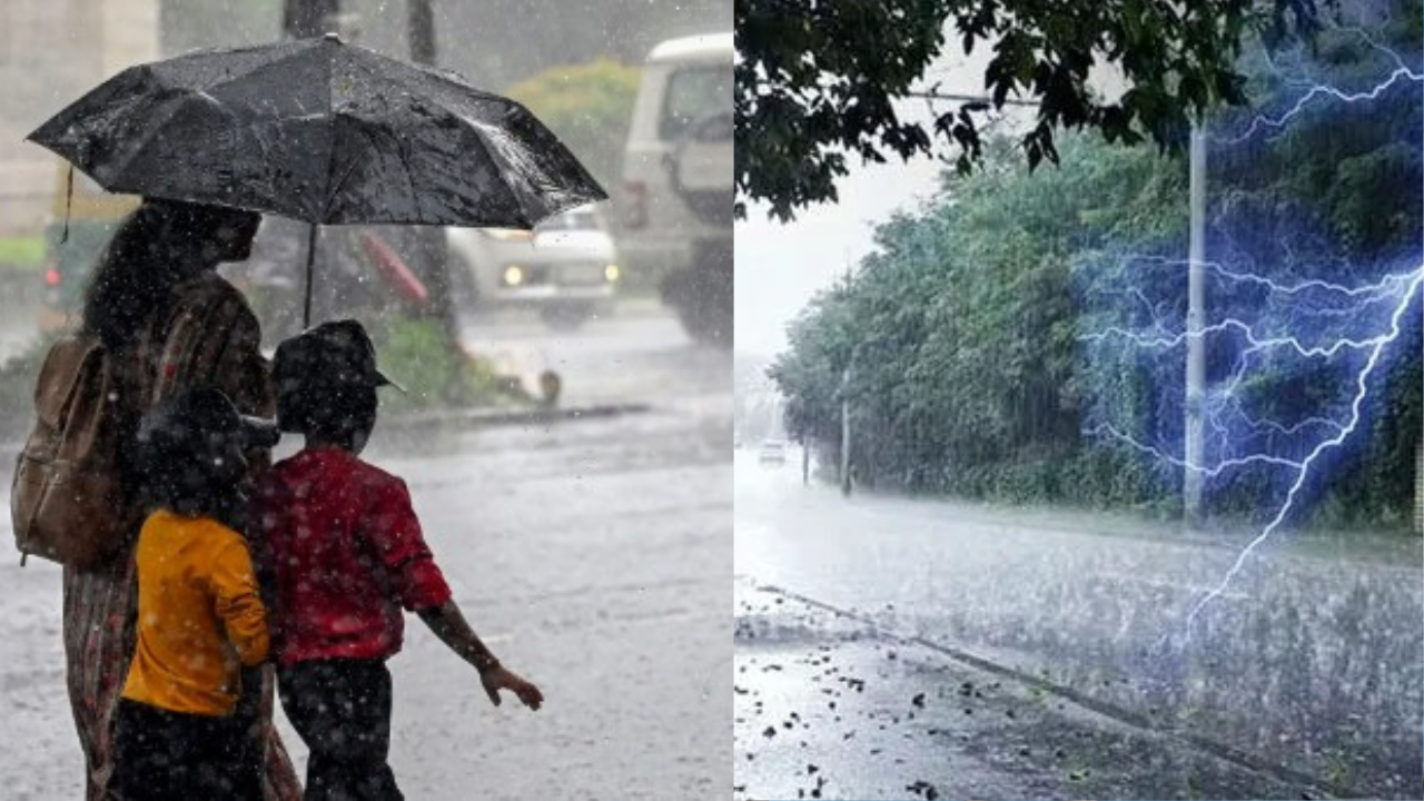 Meteorological