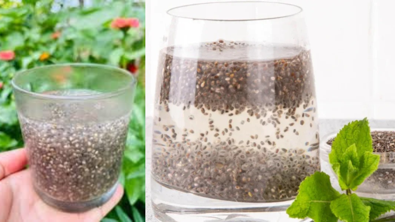 Chia Seeds