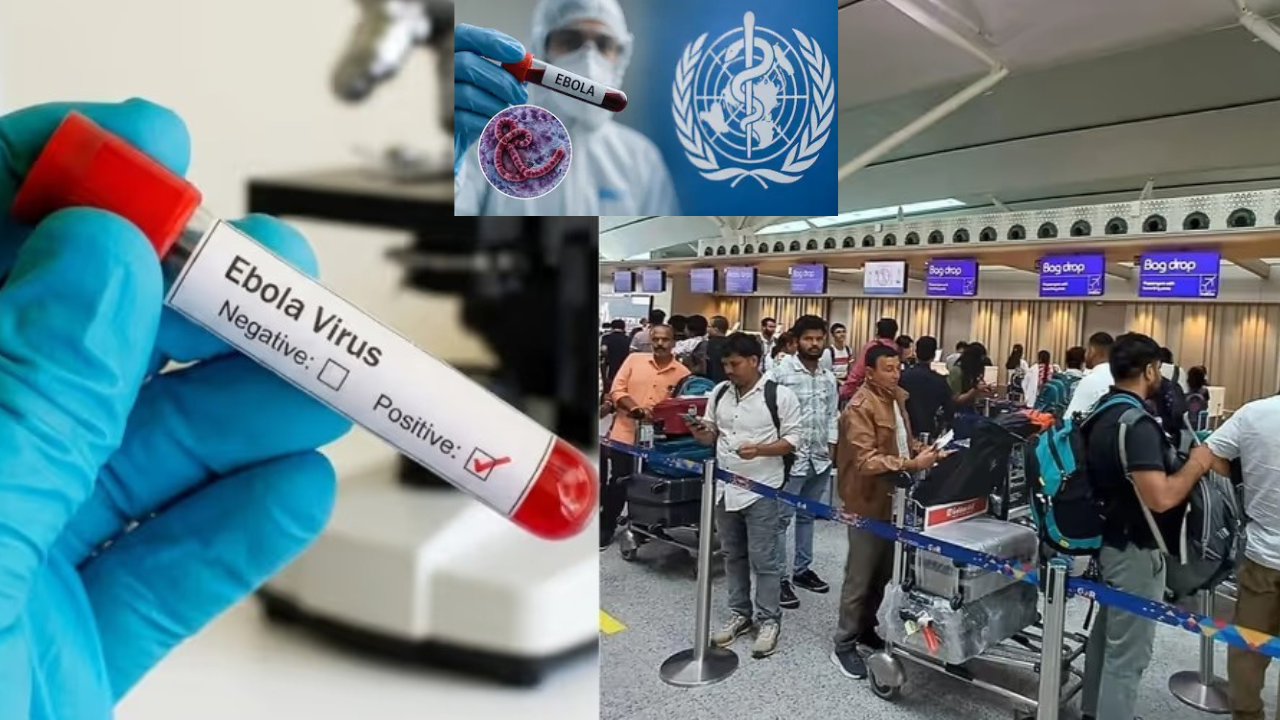 Ebola