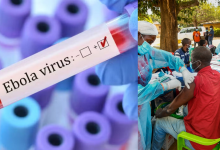 Ebola Virus