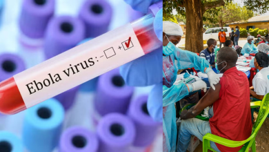 Ebola Virus