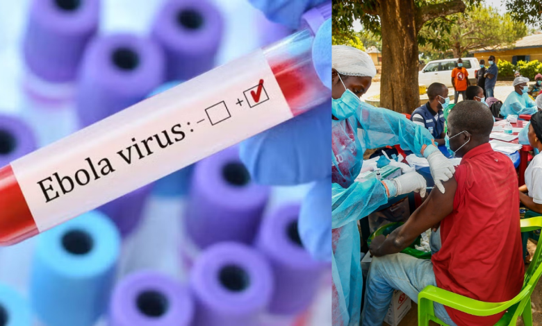 Ebola Virus