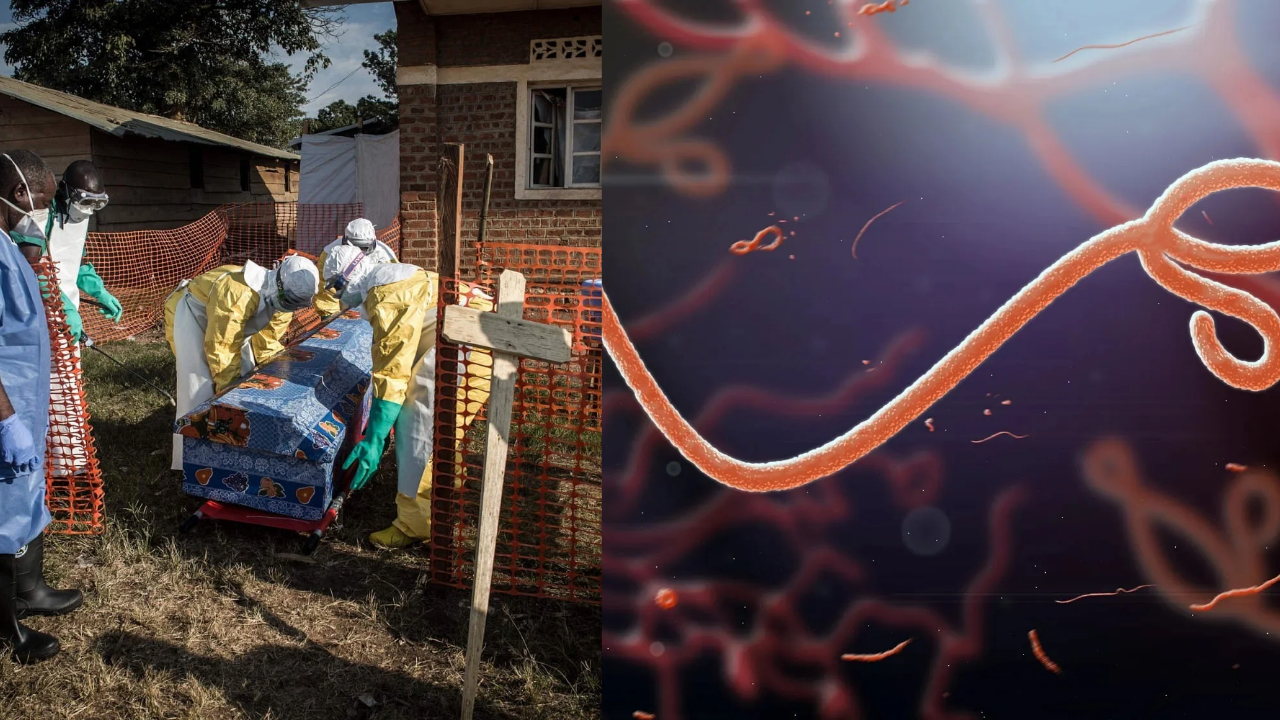 Ebola Virus