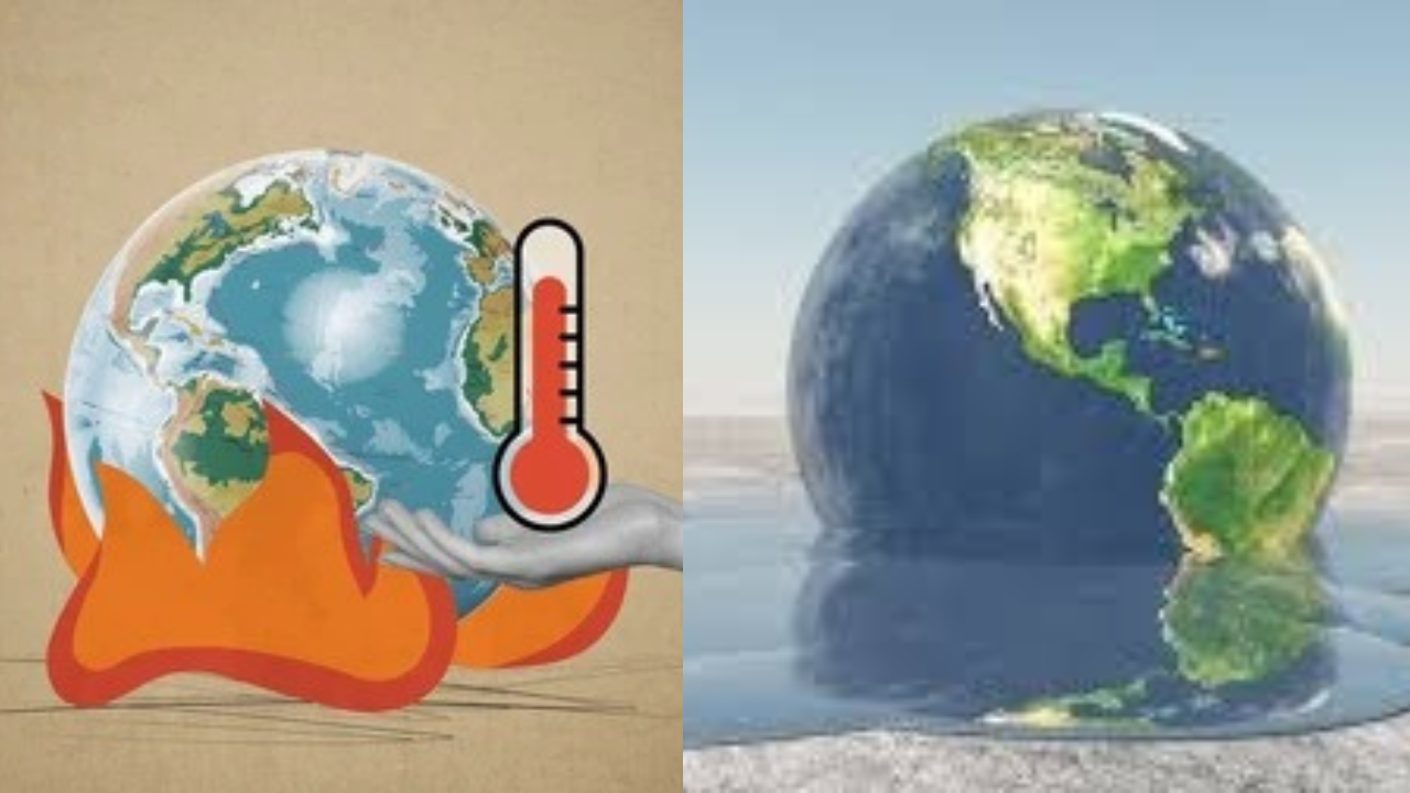 Globe