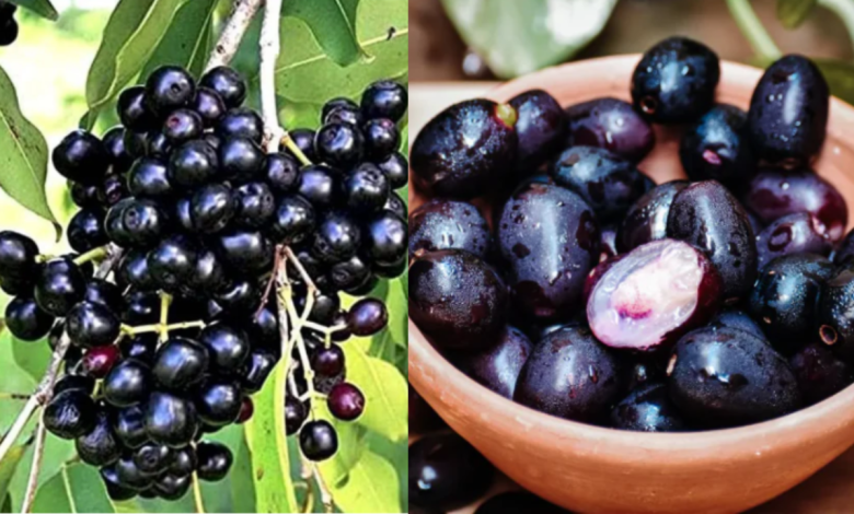 Jamun