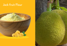 JackFruit Flour
