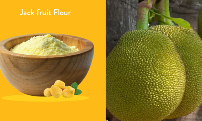 JackFruit Flour