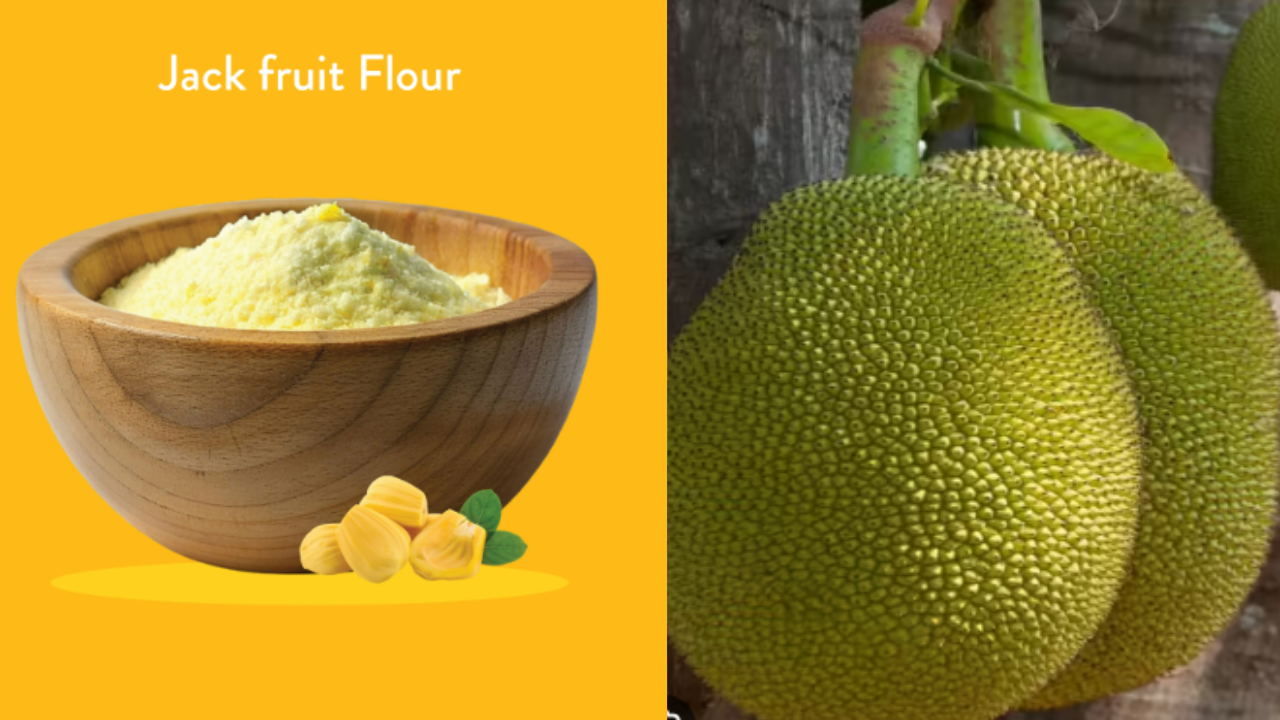 JackFruit Flour
