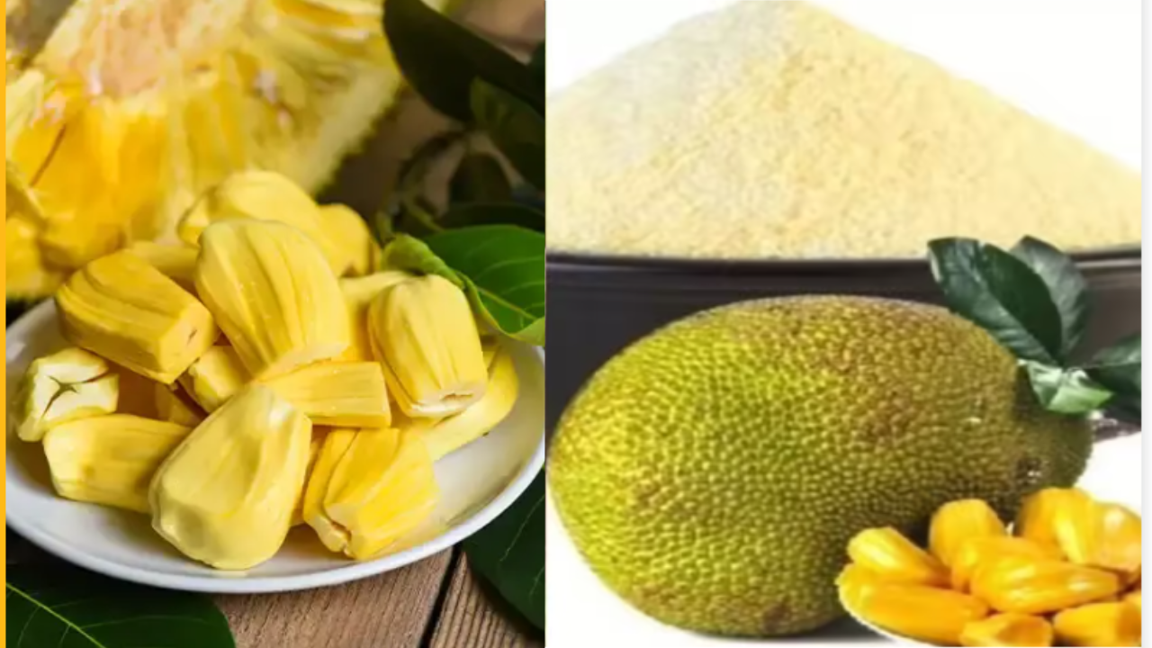 JackFruit Flour