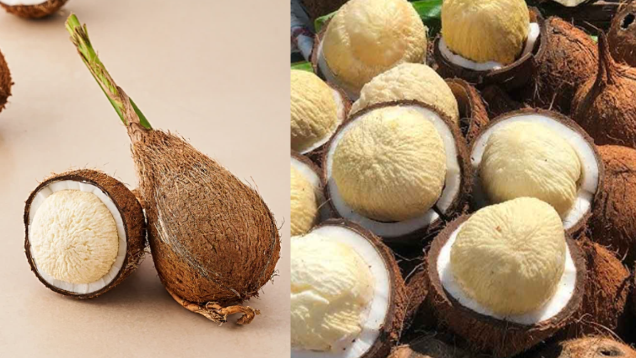 Coconut Flower