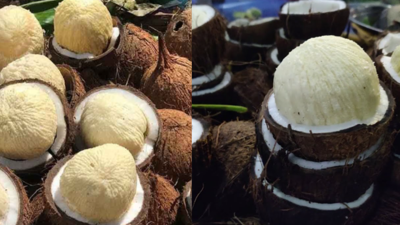 Coconut Flower