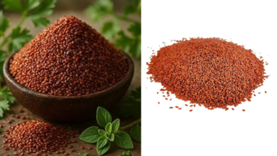 Haleem Seeds