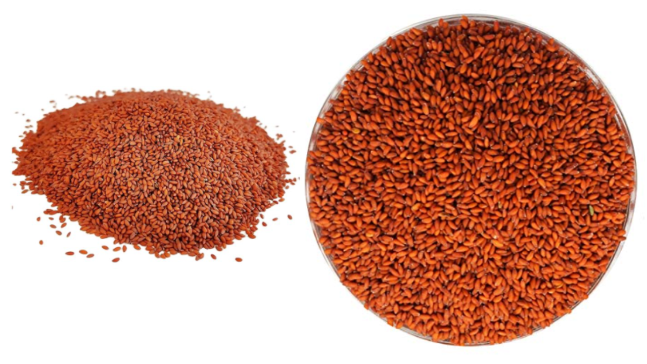 Haleem Seeds