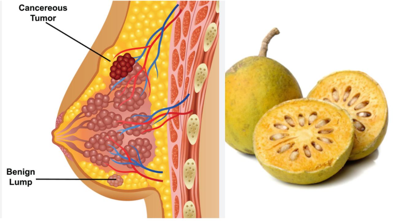Bael Fruit