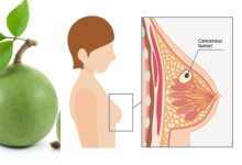 Bael Fruit