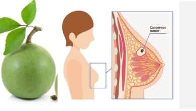 Bael Fruit