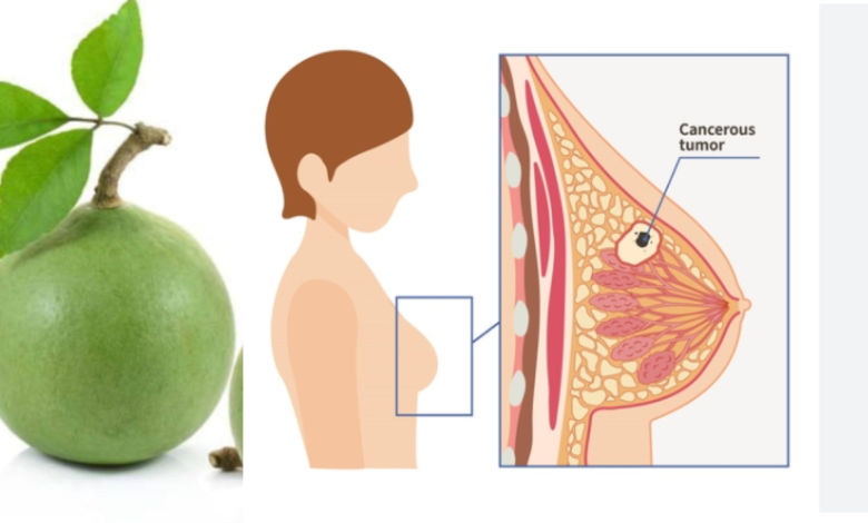 Bael Fruit