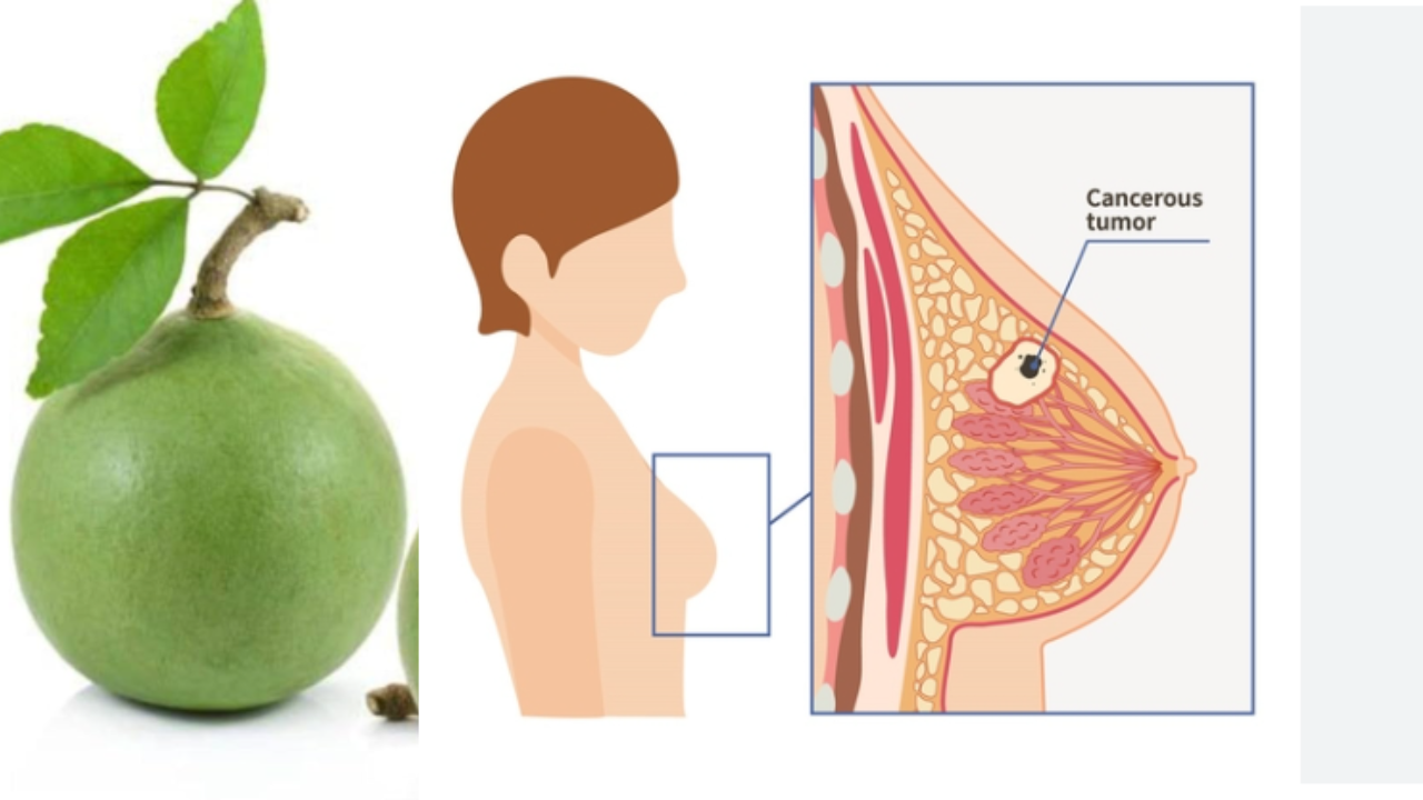 Bael Fruit