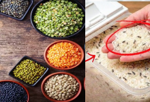 pulses