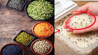 pulses