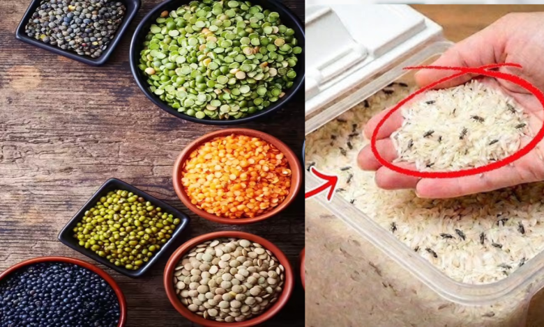 pulses