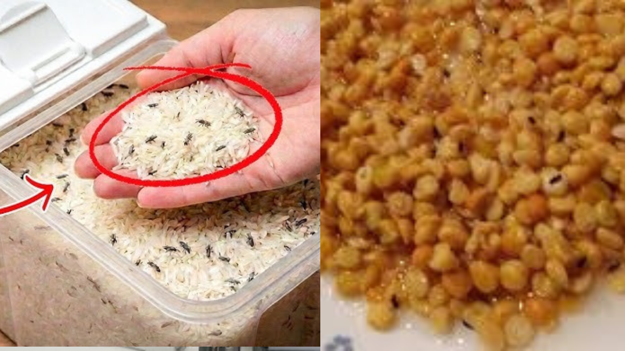 pulses