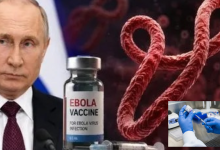 Ebola Virus