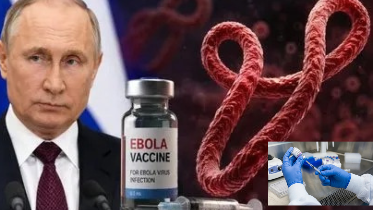 Ebola Virus