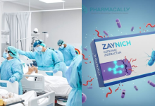 Zaynich