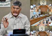 AP Cabinet