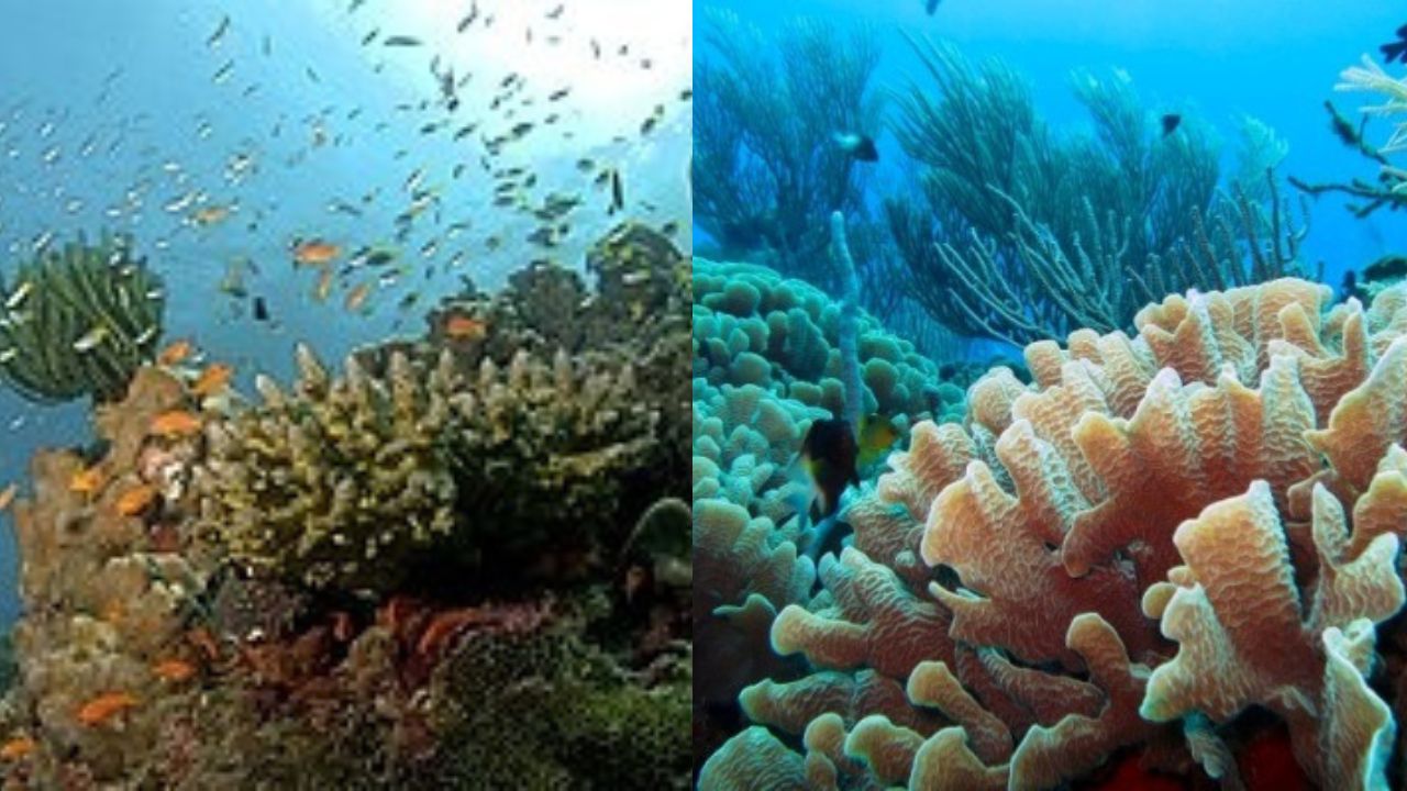 Andaman and Nicobar Islands