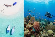 Scuba Diving