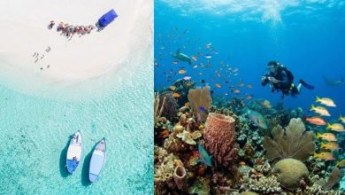 Scuba Diving