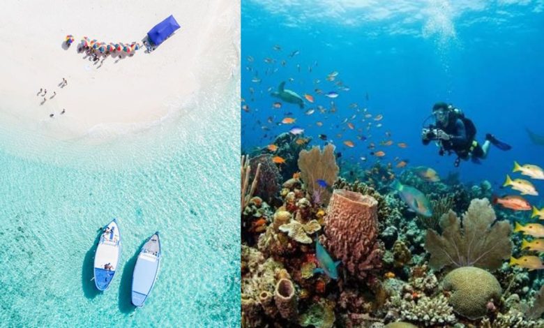 Scuba Diving