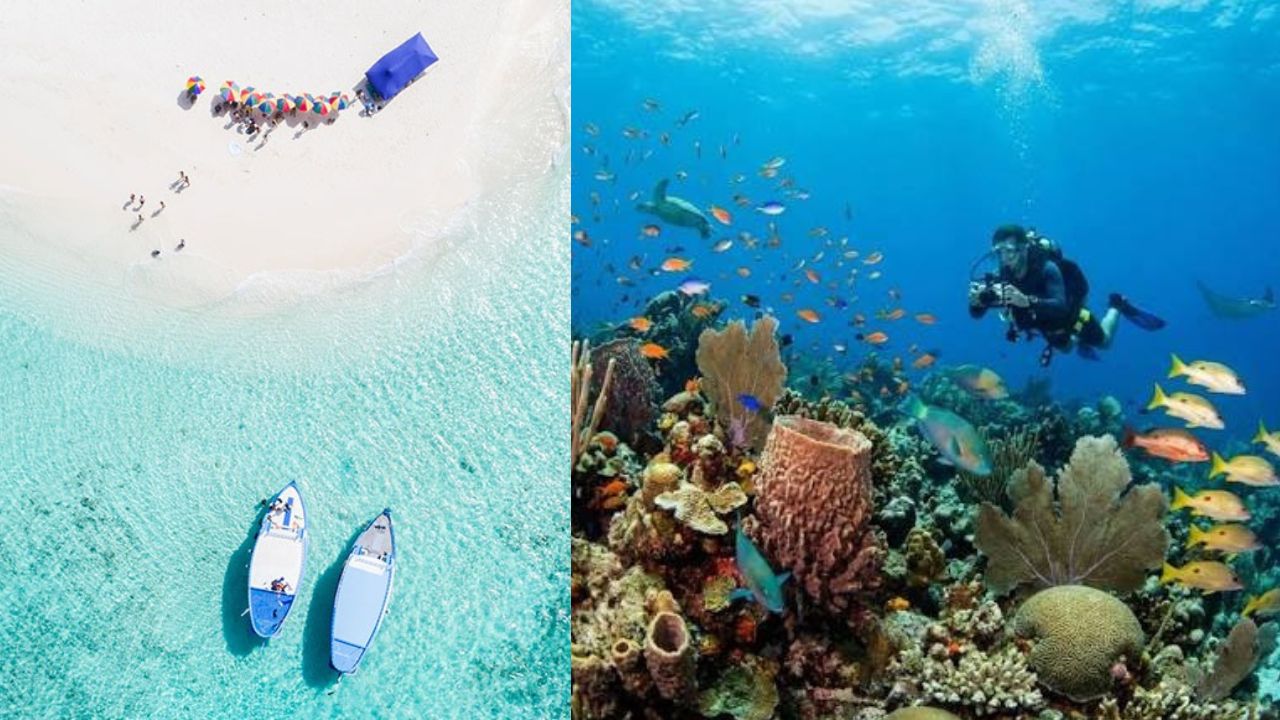 Scuba Diving