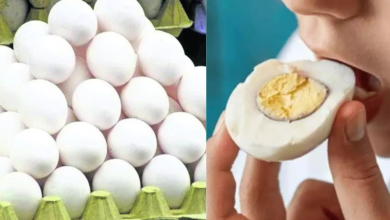 Egg Price